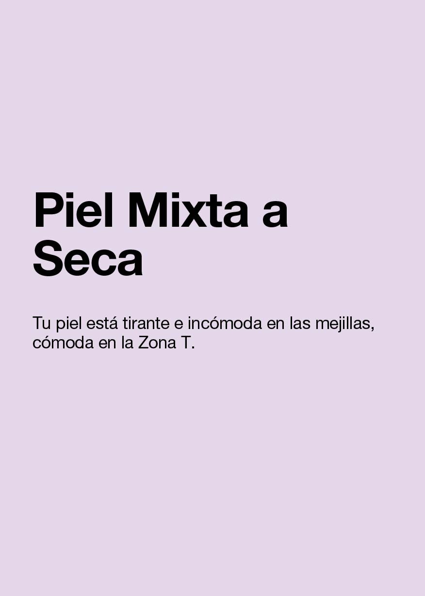 piel mixta a seca